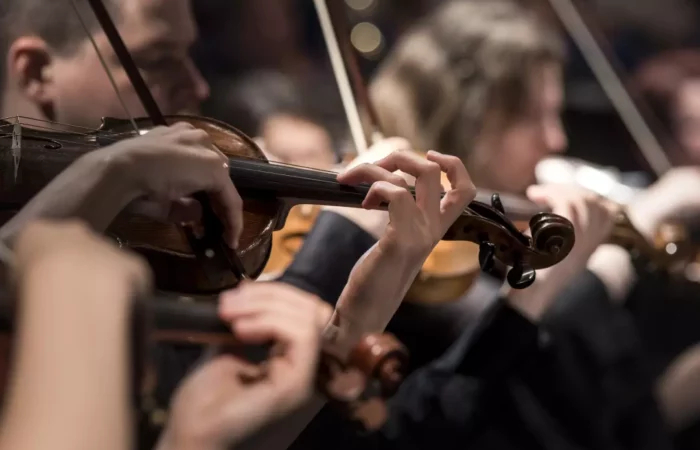 Hand of a man playing the violin