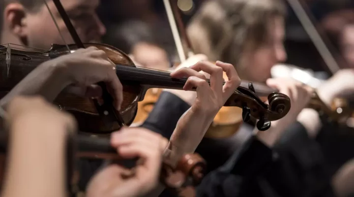 Hand of a man playing the violin