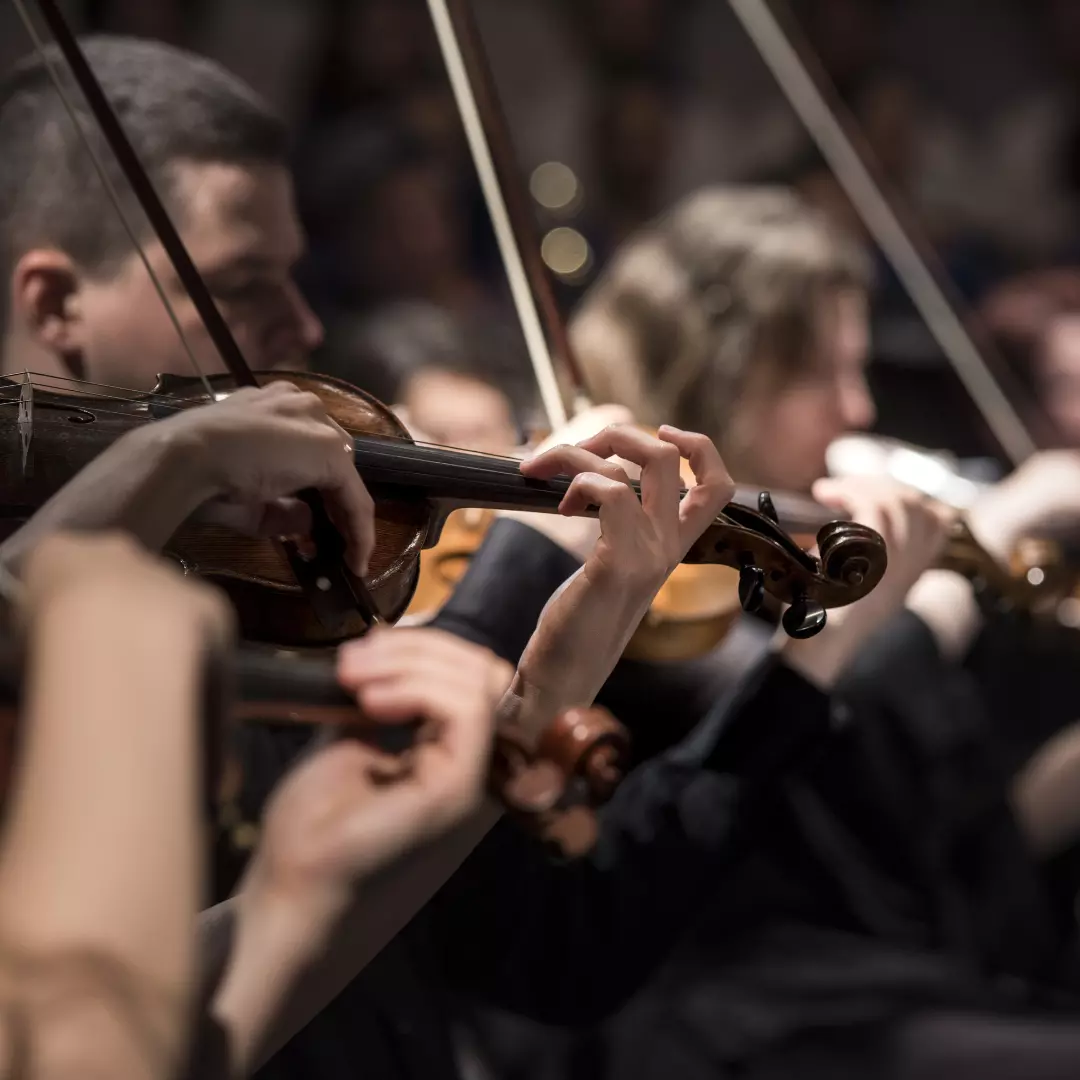 Hand of a man playing the violin