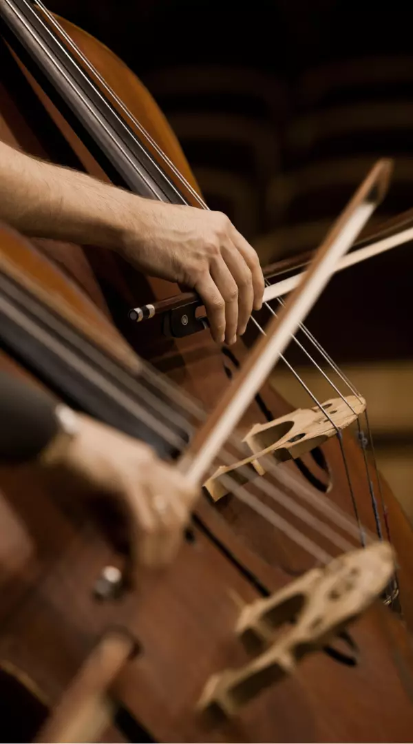 Hand of a man playing the contrabass